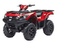 ATVs for sale at Pro Motorsports.